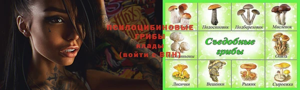кокаин премиум Дмитриев