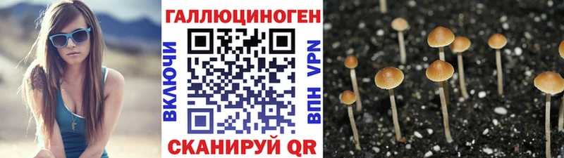Галлюциногенные грибы Cubensis  Купить где  Завитинск 