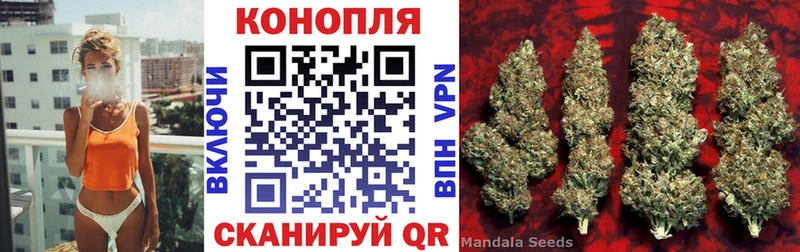 Купить закладки  Завитинск  Бошки Шишки VHQ 